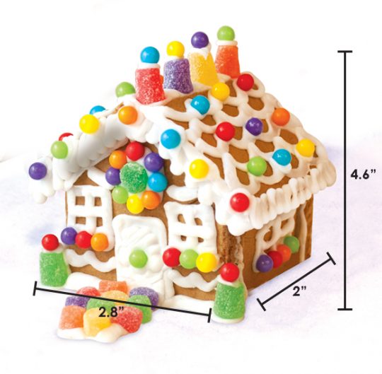 Elf on the Shelf Mini Gingerbread House Kit – The Cookie Jar